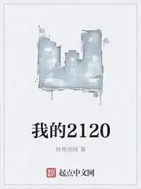 我的2120