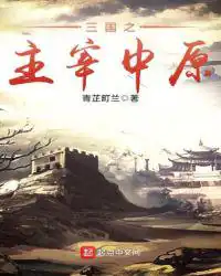 三国之主宰中原