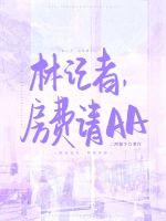 林记者，房费请AA