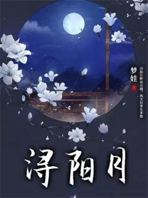 浔阳江头夜送客