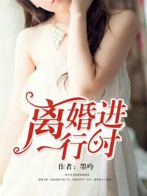 离婚进行时