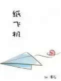 纸飞机中文版下载