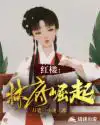 红楼林家幼子