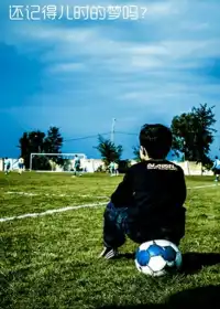 火凤凰：中国足球梦